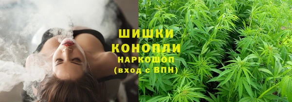 ALPHA PVP Баксан